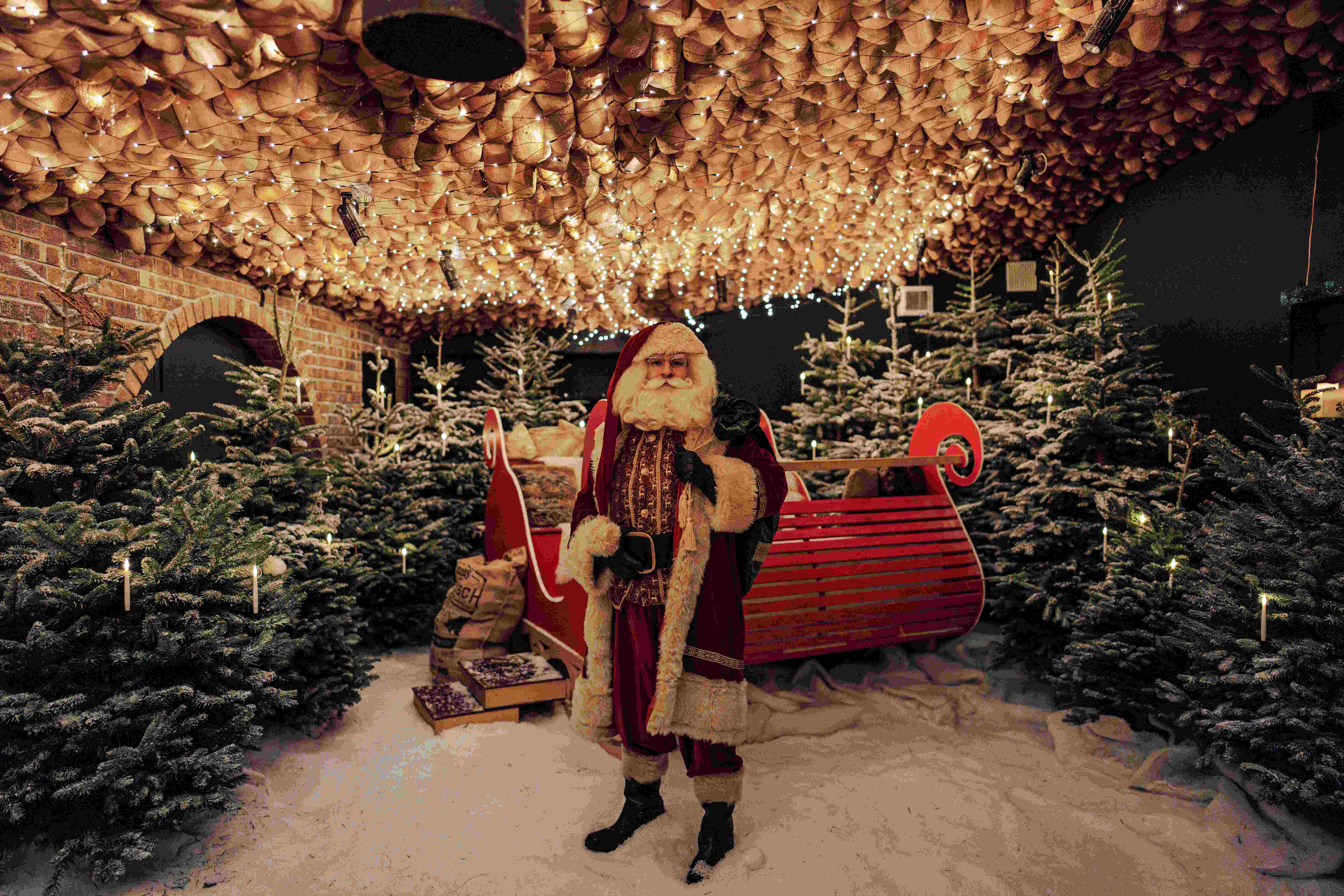 A Day Before Christmas