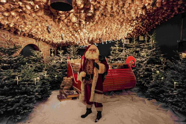 A Day Before Christmas