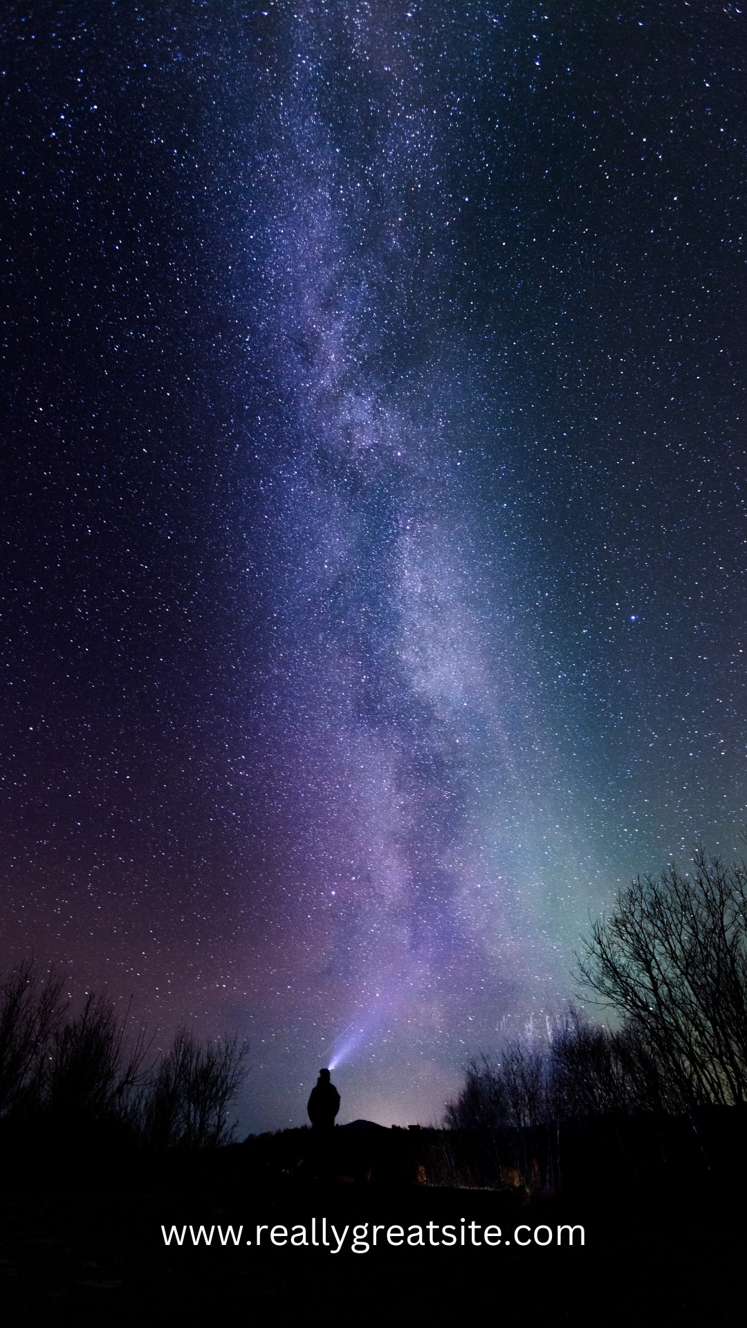 Twilight Experience