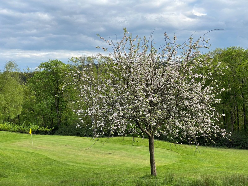 Golf Course - 9 Holes