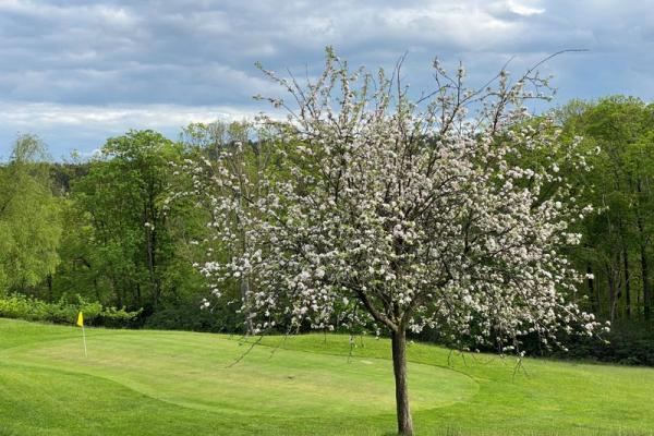 Golf Course - 9 Holes