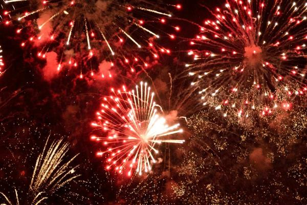 Bonfire Night Event 2025: Gala Dinner and Fireworks (Child)