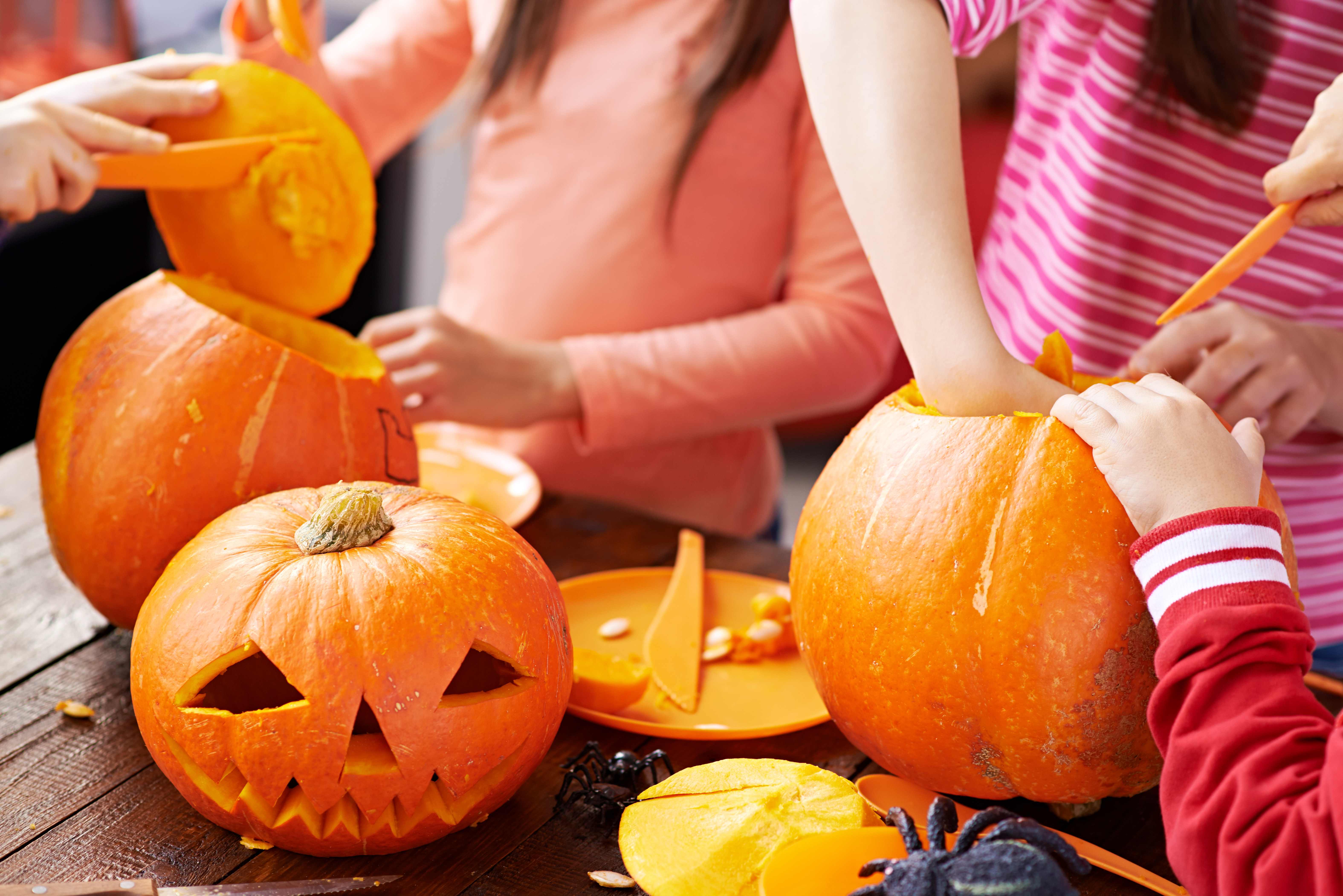 Pumpkin Patch and Carving