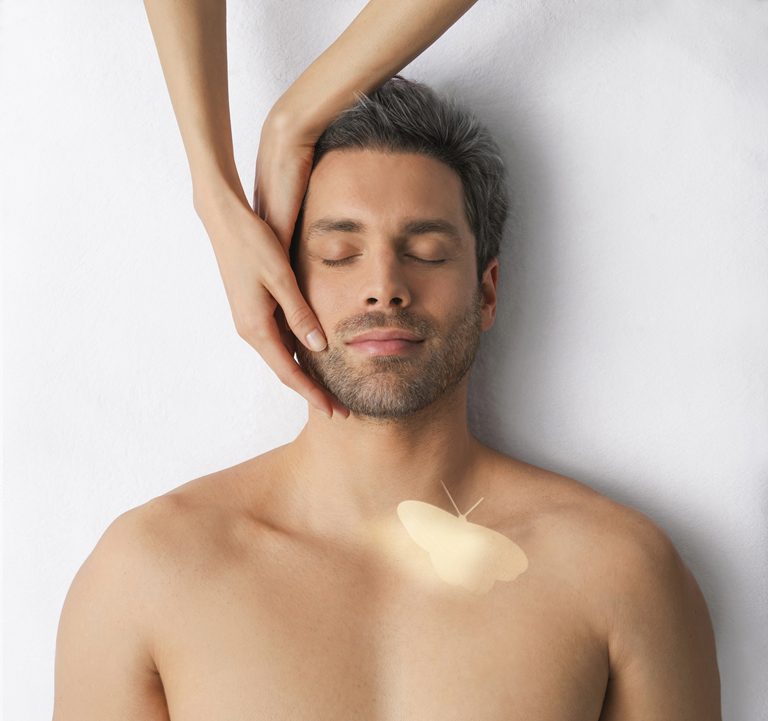 El Despertar del Caballero