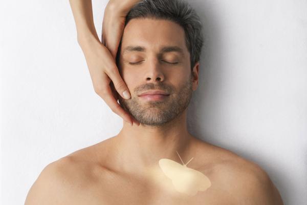 El Despertar del Caballero