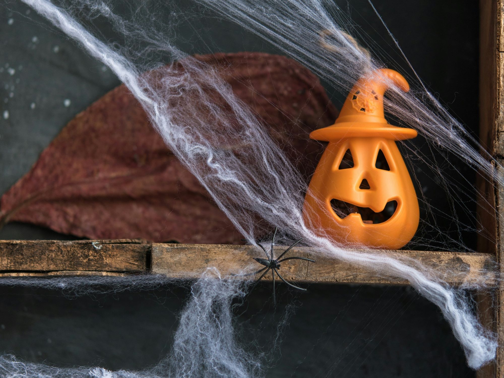 Halloween Party