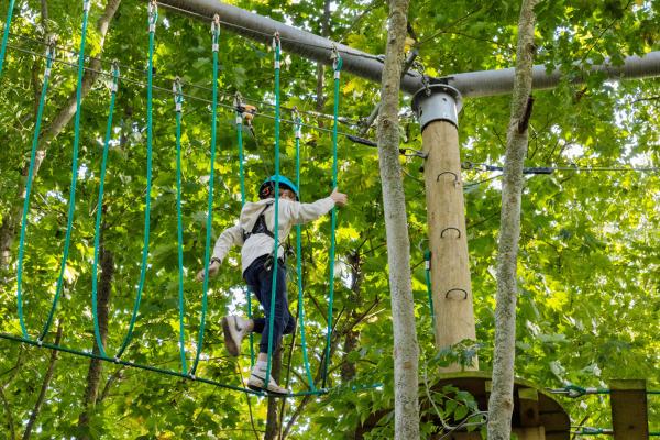 Tree Top Adventure - High Ropes