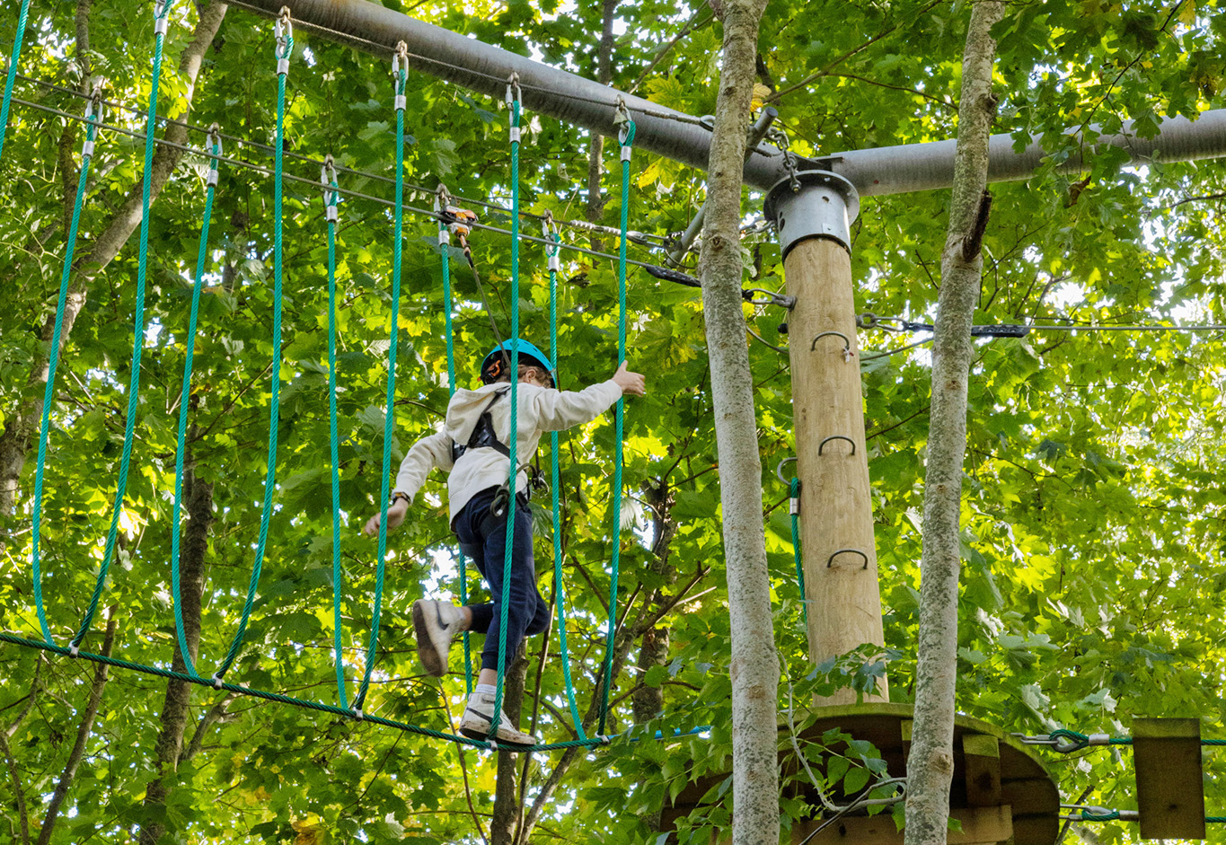 Tree Top Adventure - High Ropes