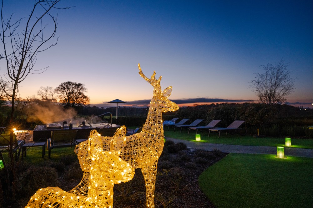 Festive Twilight Garden Experience