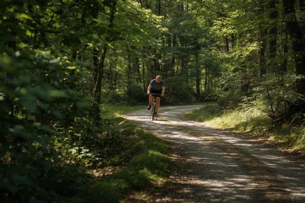 Adult Bike Hire Unisex