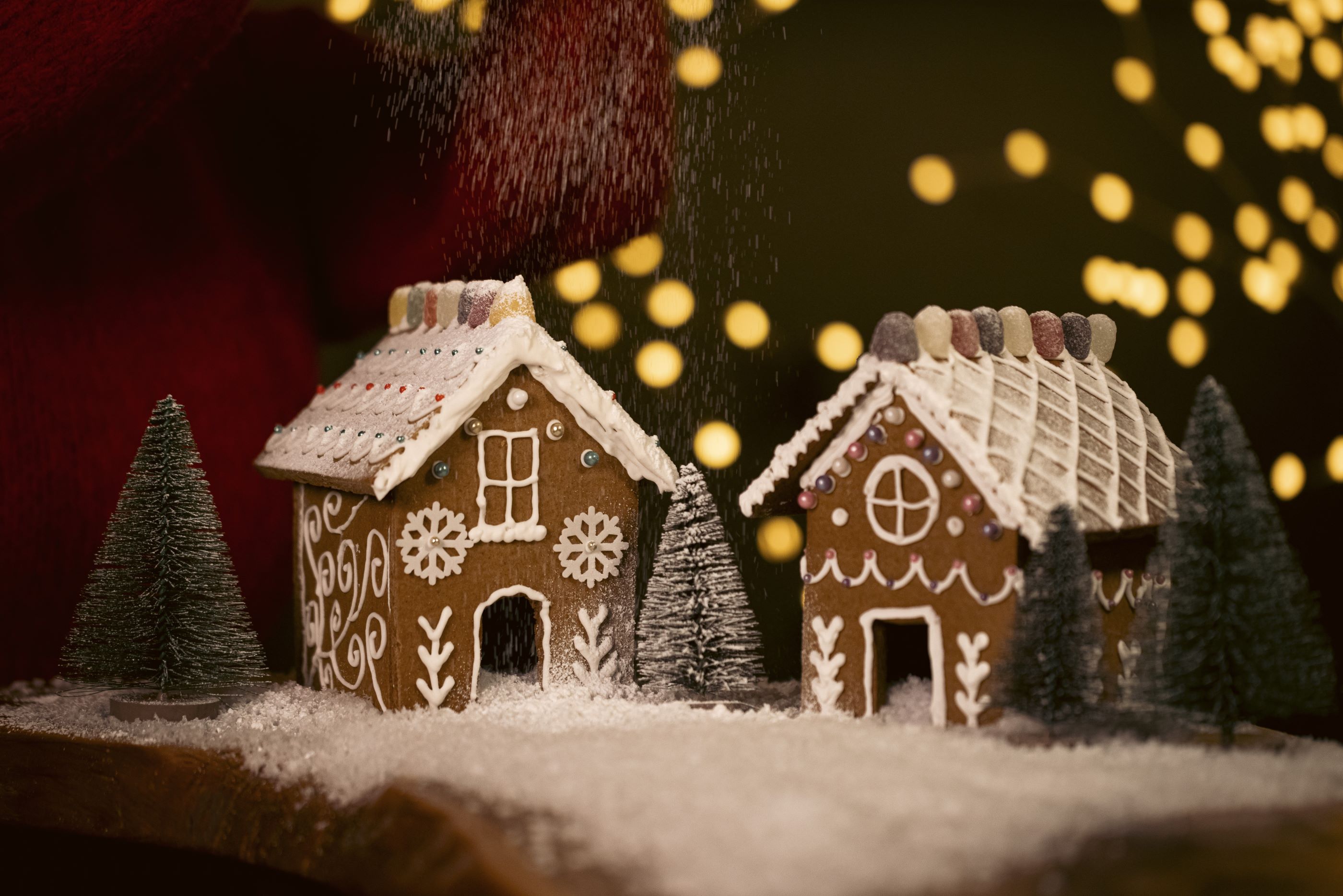 Gingerbread House Decorating