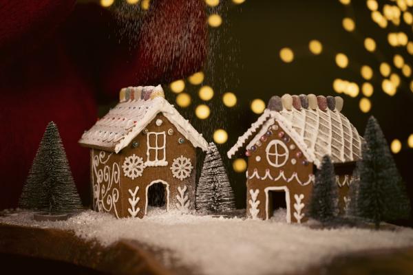 Gingerbread House Decorating