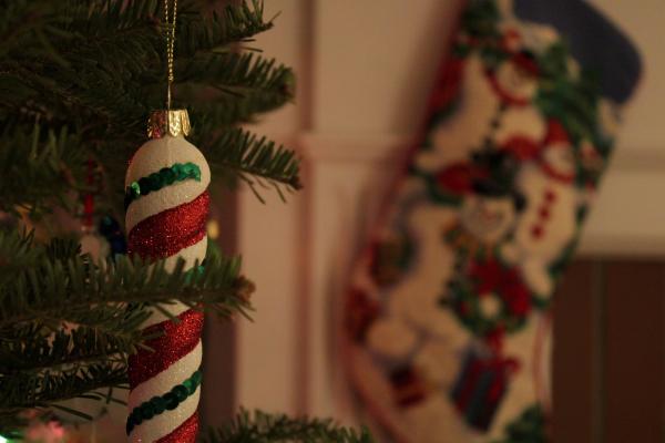 Screen Printed Stocking