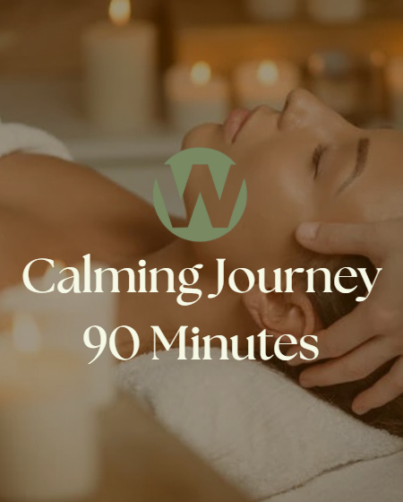 Calming Journey 90 minutes