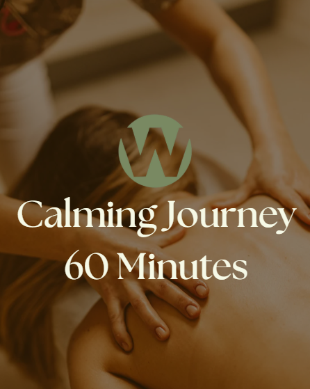 Calming Journey 60 minutes