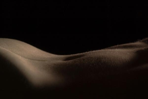 BBL Heroic & Moxi Large Body Area (arms, back)