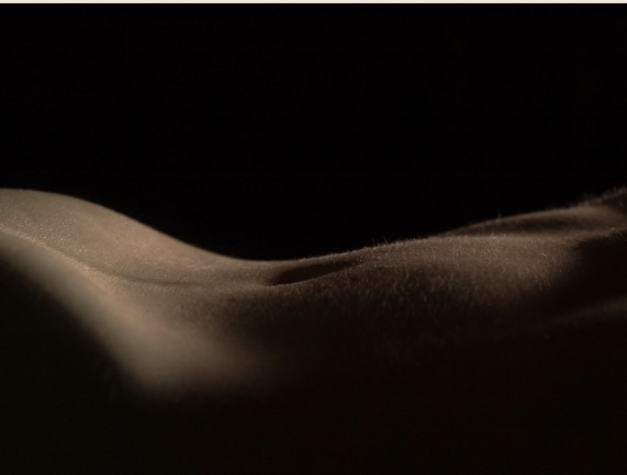 Moxi Large Body Area (arms, back)