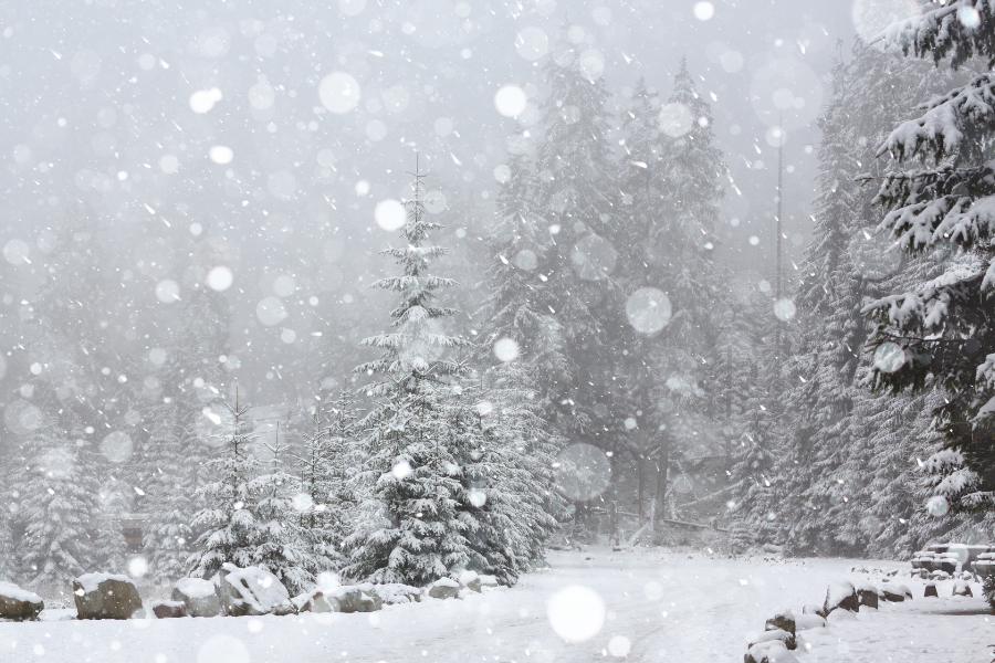 Package | Let It Snow Signature