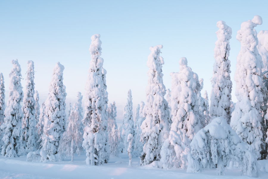 Package | Let It Snow Extravaganza