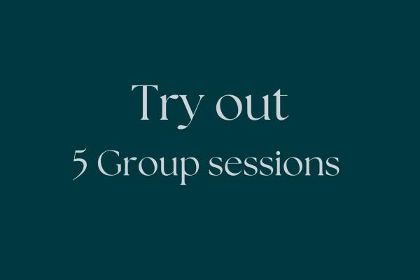 5 x Try Out Group Session