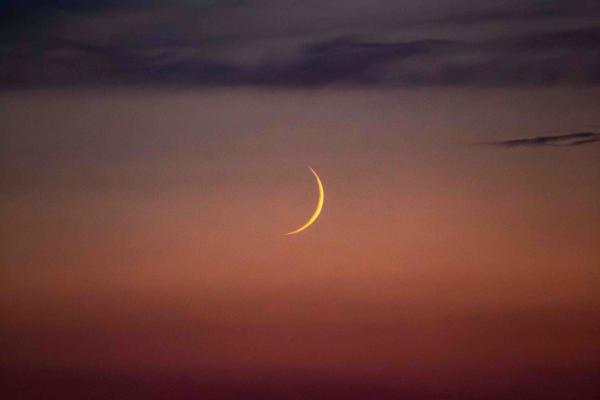 ✦ New Moon + Flower Essence Manifestation Circle