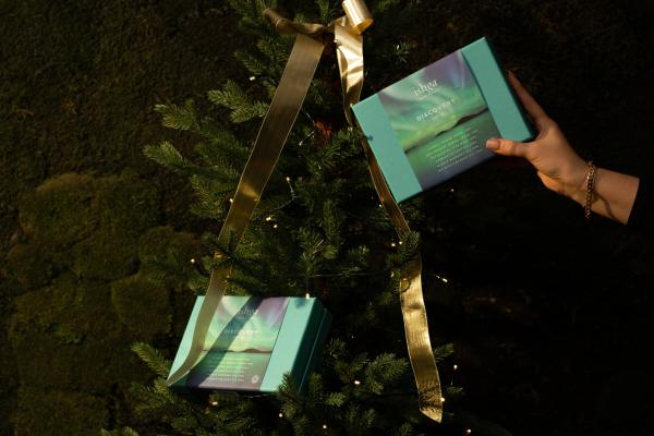 Discover the world of ishga with our Brand Ambassador