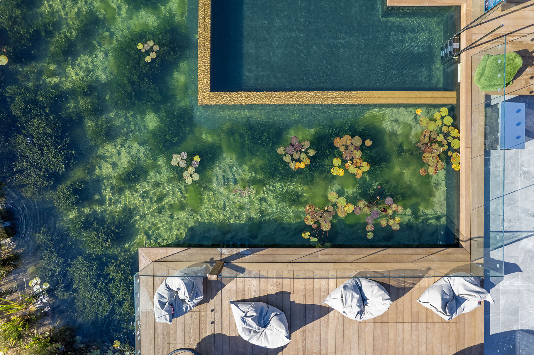 Yorkshire Rebalance December Offer