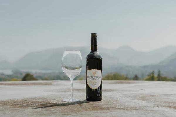 Prodigal Son (100% Rondo) - Underscar Manor Red