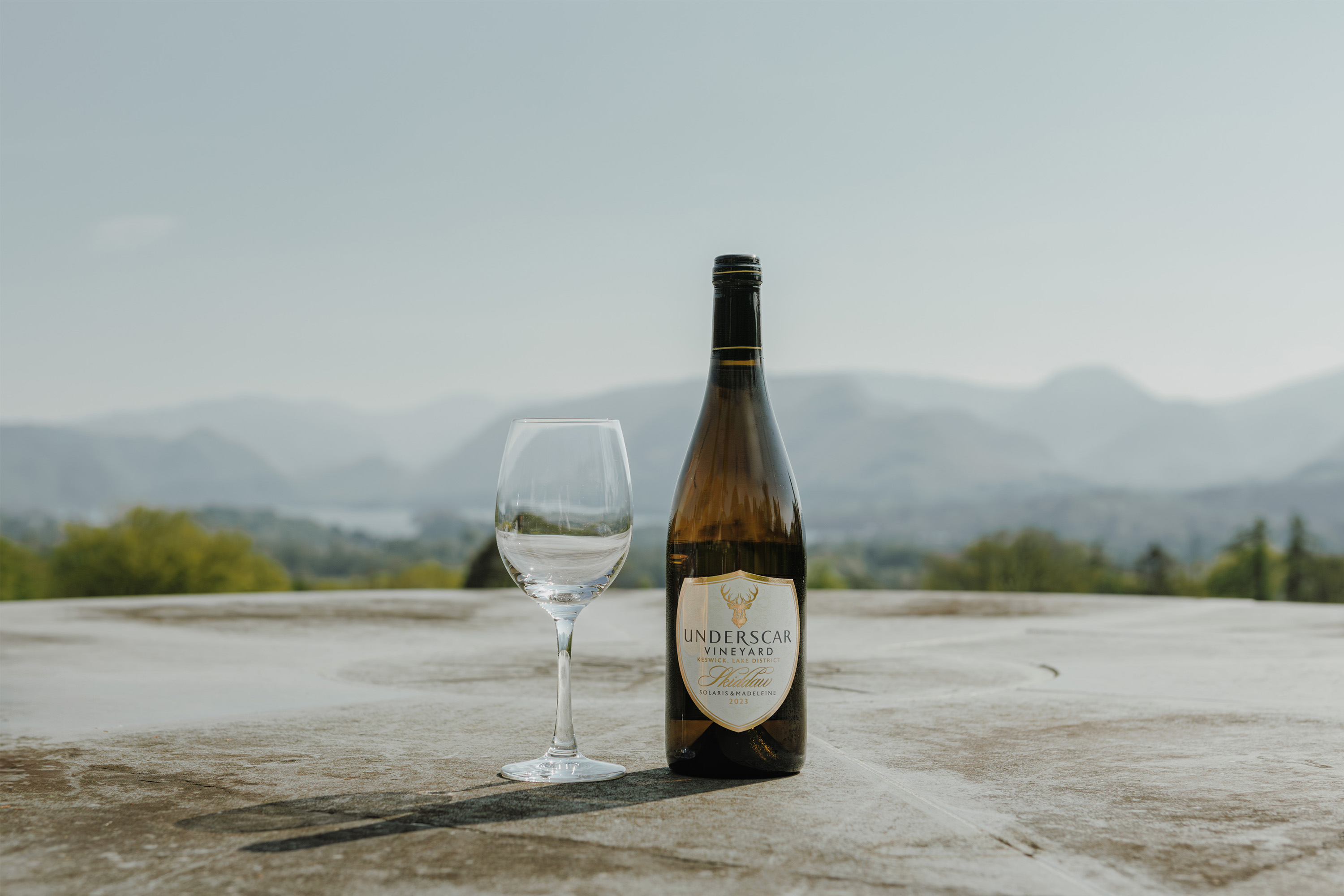 Skiddaw (60% Solaris : 40% Madeleine Angevine) - Underscar Manor Dry White