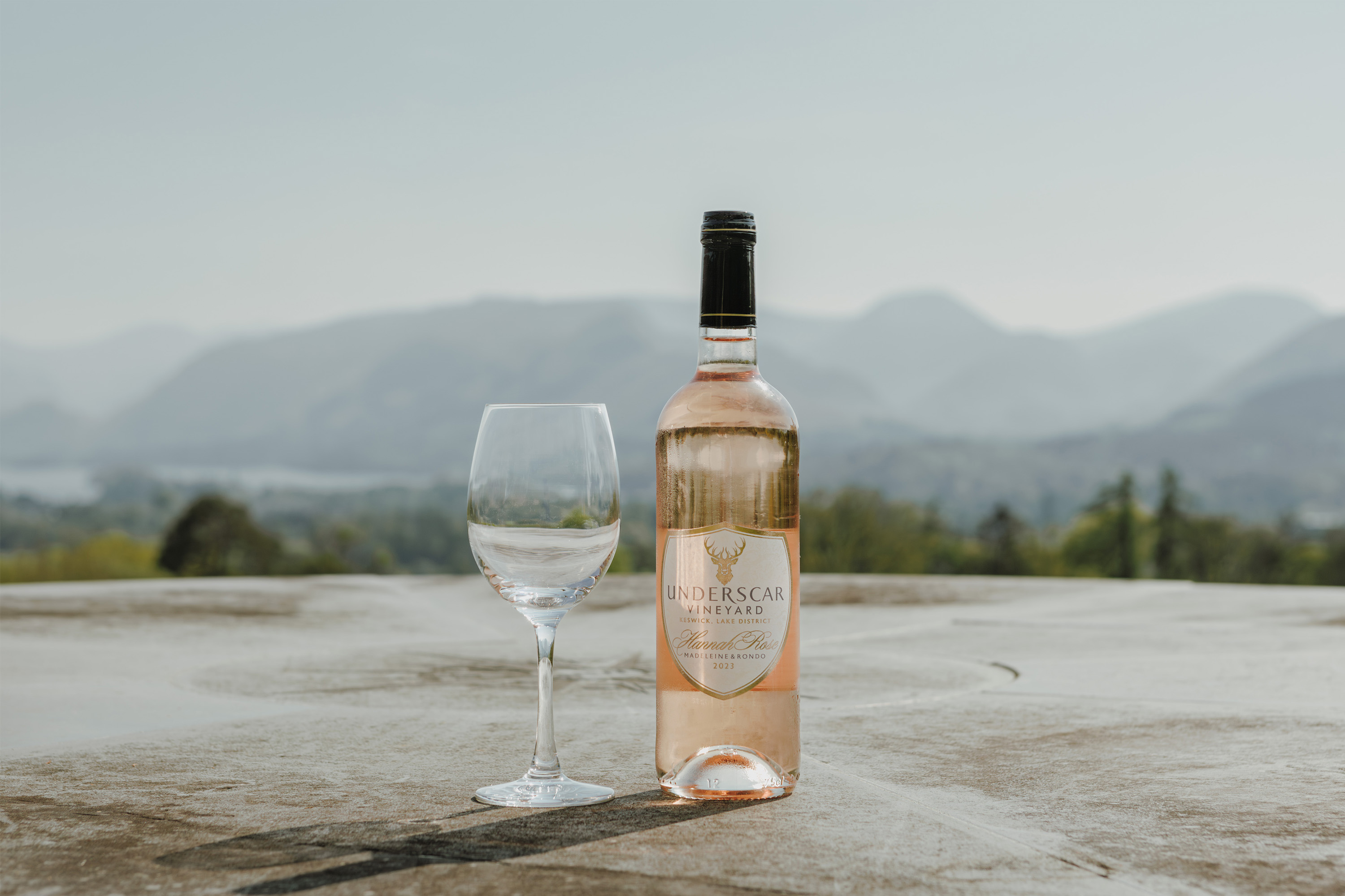 Hannah Rose (98% Madeleine Angevine and 2% Rondo) - Underscar Manor Rose