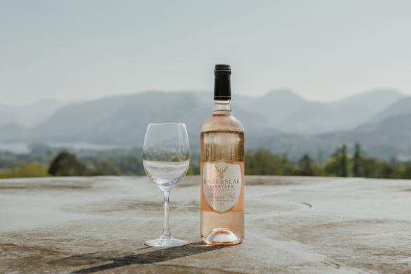 Hannah Rose (98% Madeleine Angevine and 2% Rondo) - Underscar Manor Rose