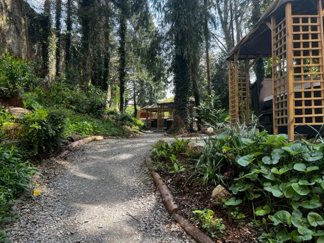 Afternoon Woodland Retreat