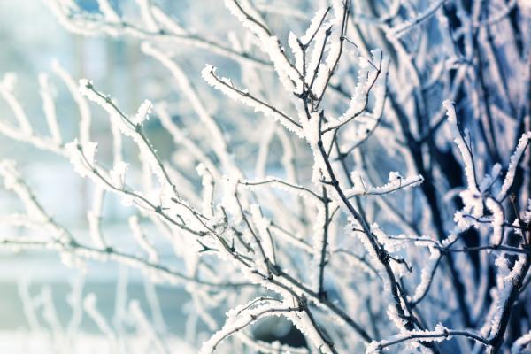 Resolution Retreat for 2