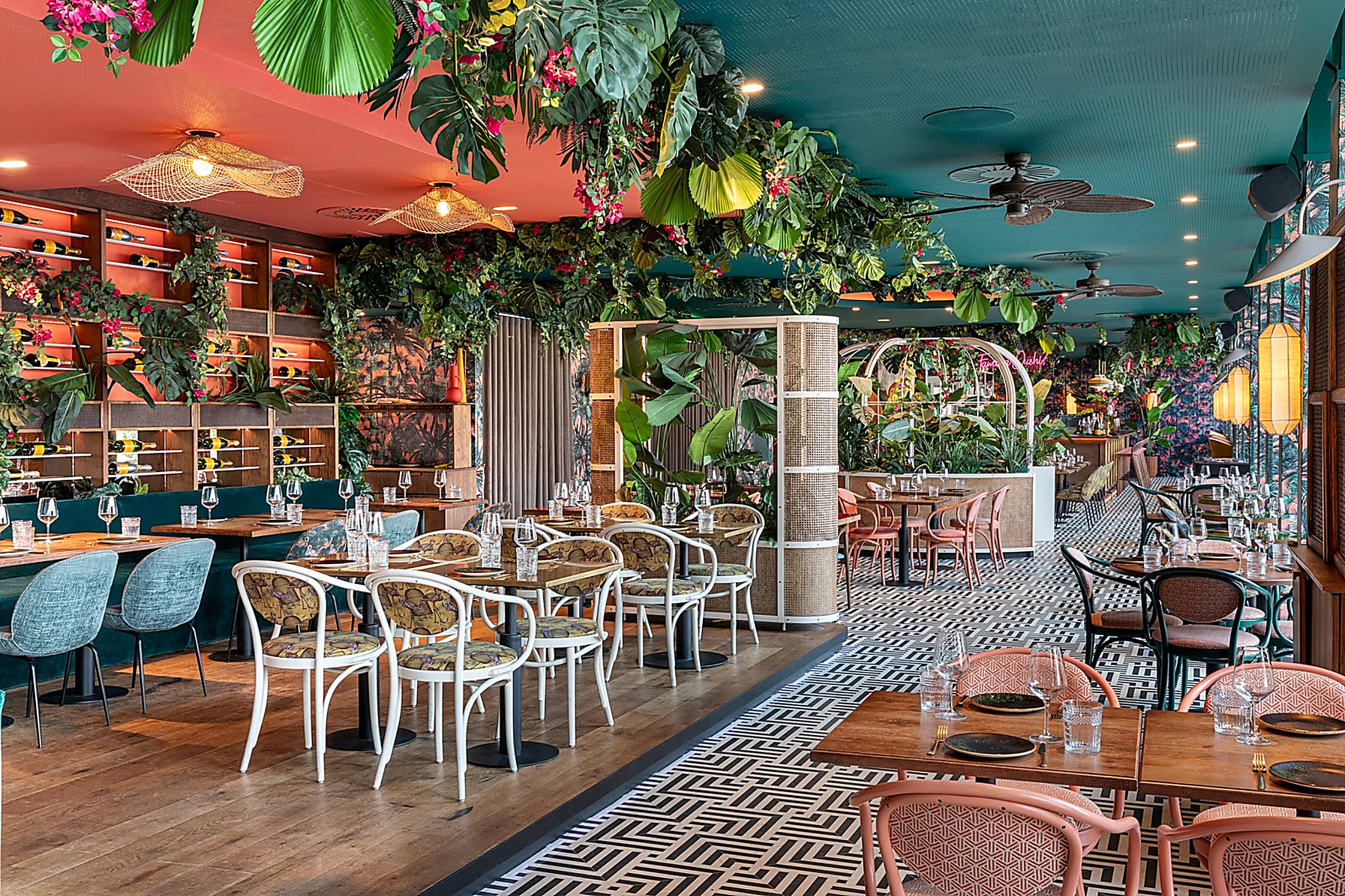 Wellness Lunch Special