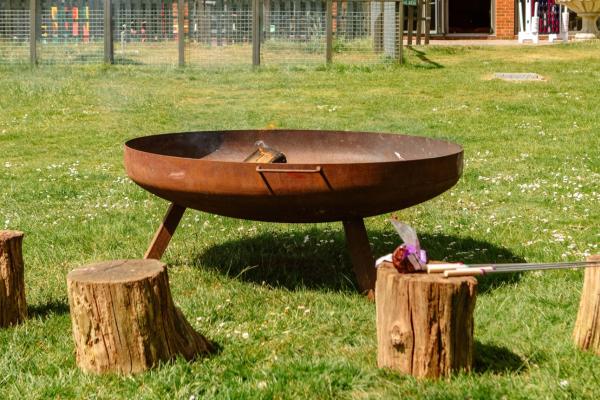 Forest Friends Workshop