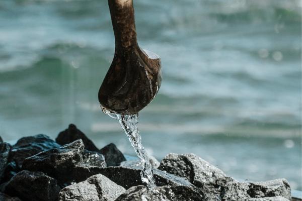 Basturitual 30 min - 18:30