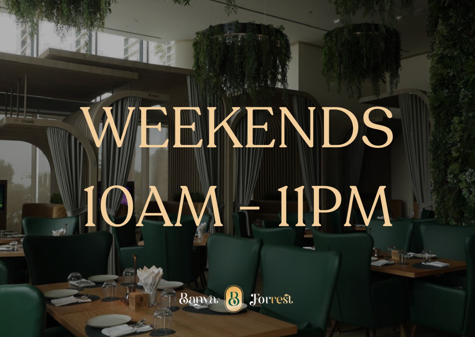 SATURDAY TO SUNDAY ENTRY (10AM - 11PM)