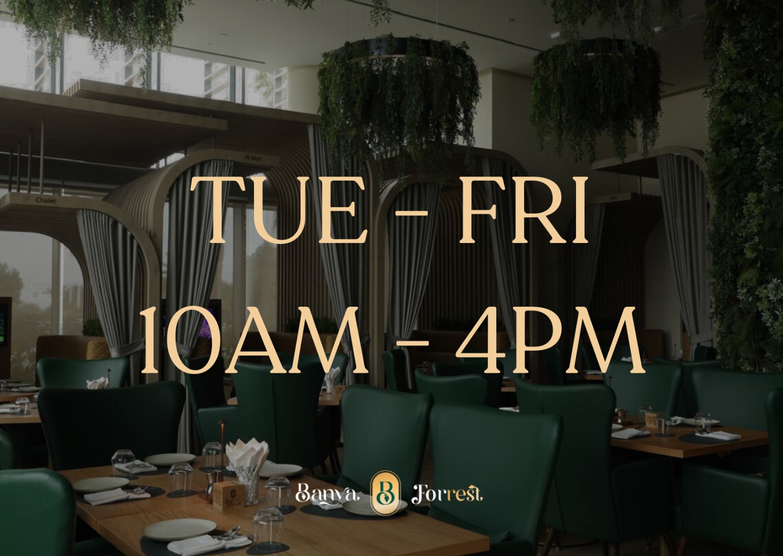 TUESDAY TO FRIDAY ENTRY (10AM - 4PM)