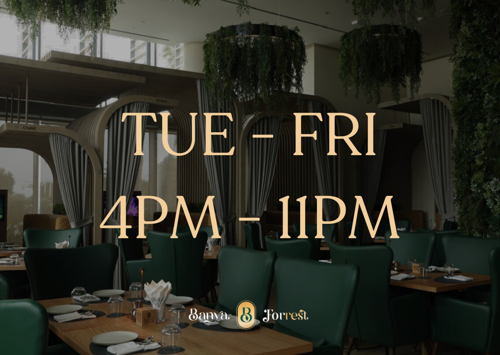 TUESDAY TO FRIDAY ENTRY (4PM - 11PM)