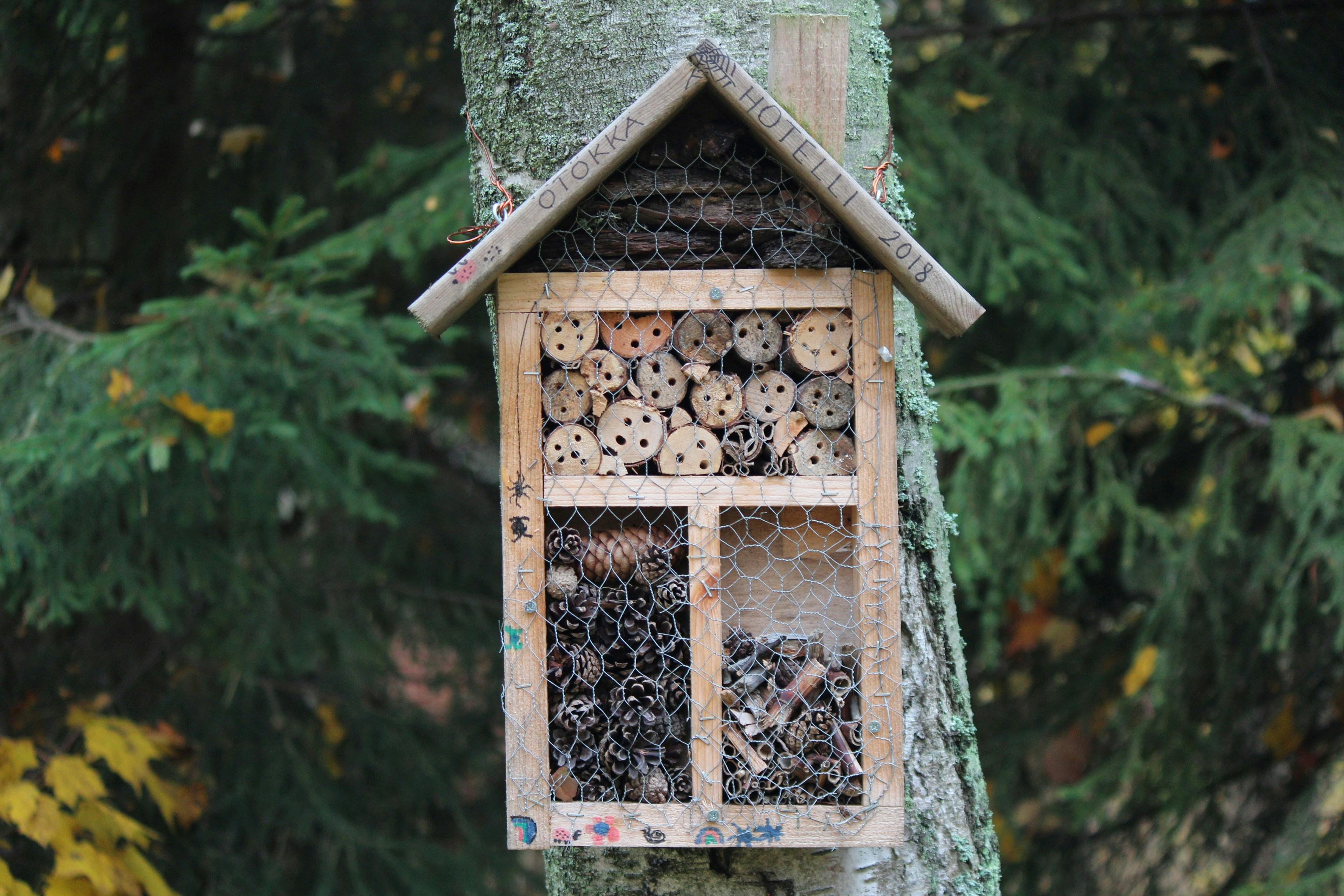 Bug Hotel Workshop
