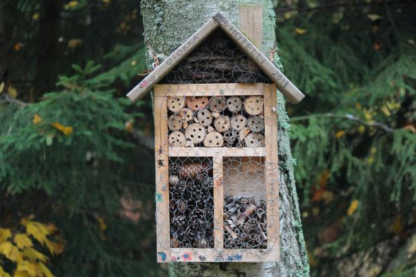 Bug Hotel Workshop