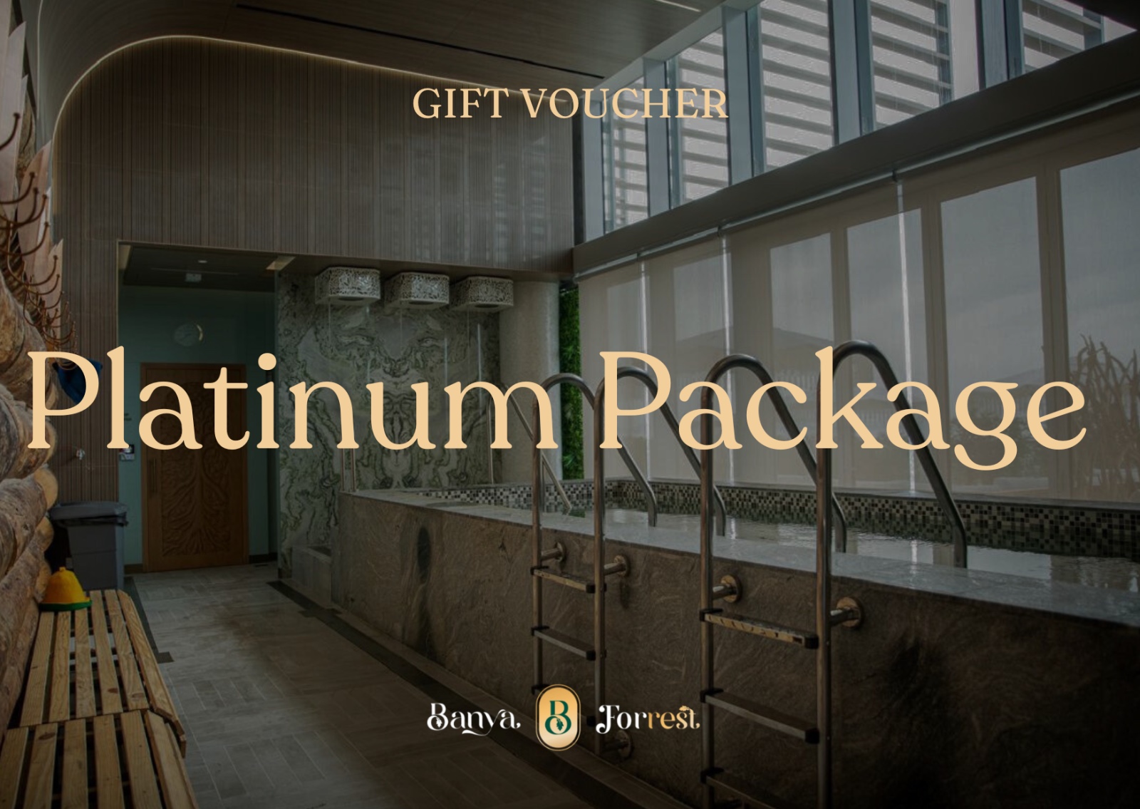 Platinum Package
