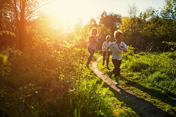 School of Wild - Spring Adventure