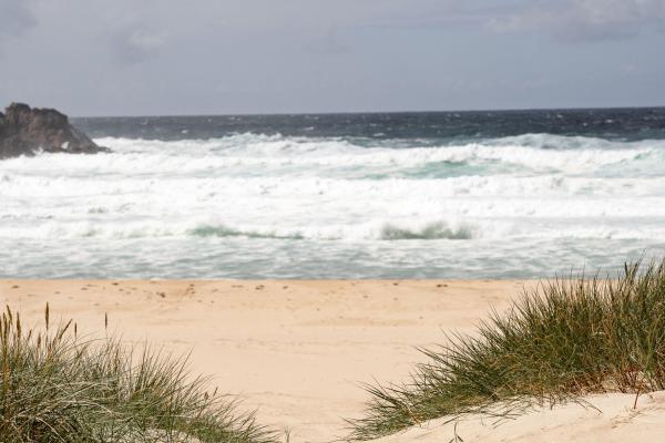 Mother’s Day Isles Experience