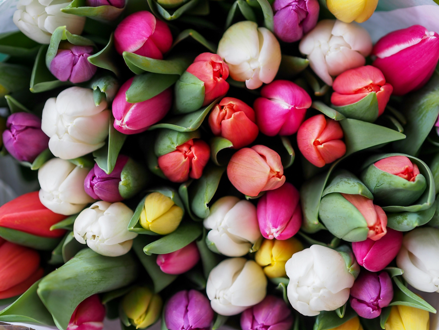 Easter Wreath Making