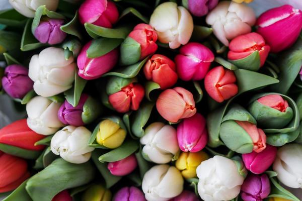 Easter Wreath Making