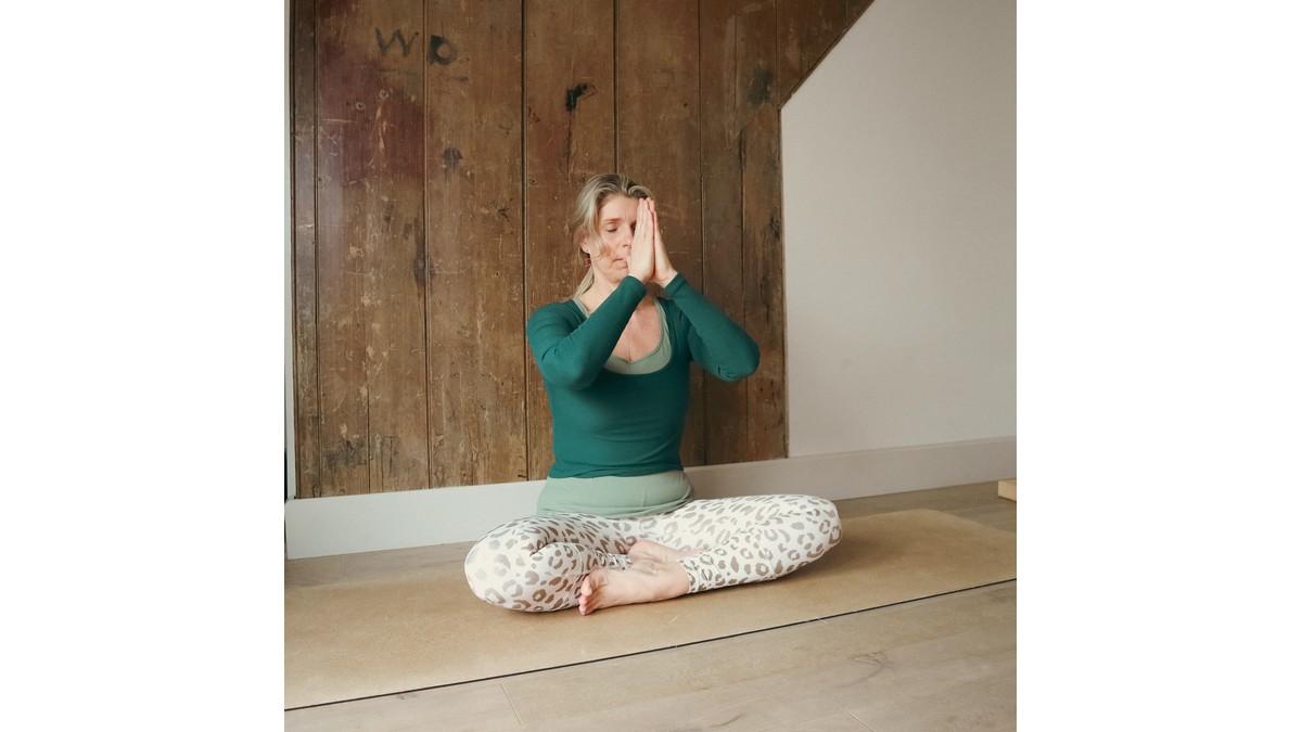 Friday 9:30am Flow Yoga - Course of 6 - 13/03/26 to 17/04/26.