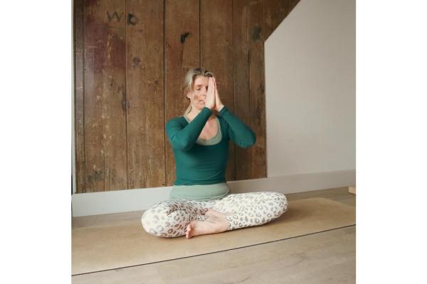 Friday 9:30am Flow Yoga - Course of 6 - 13/03/26 to 17/04/26.