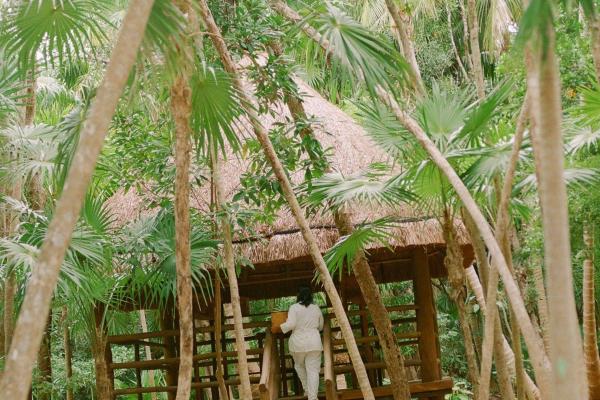 MELIPONAS JOURNEY 30