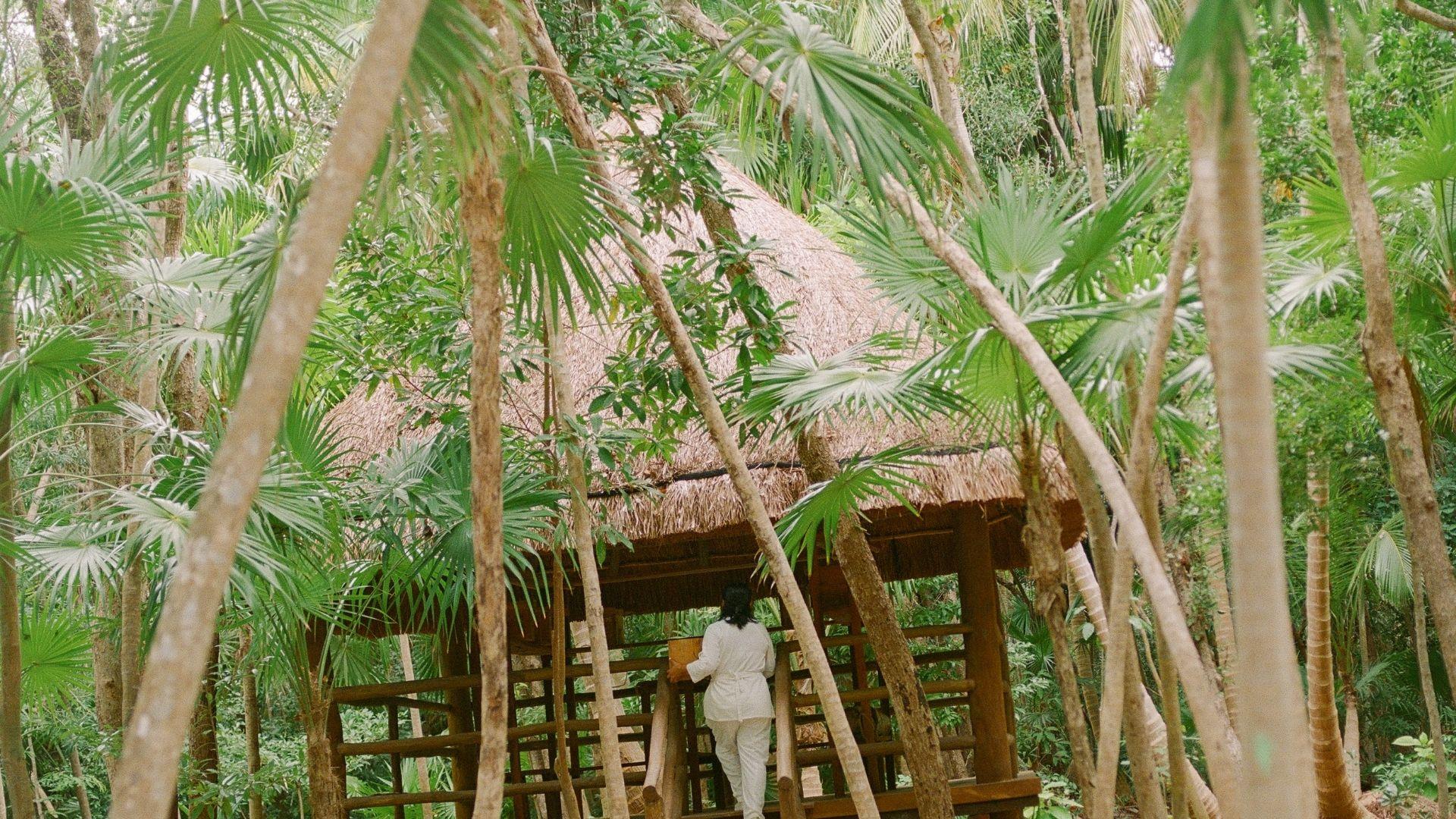 MELIPONAS JOURNEY 30